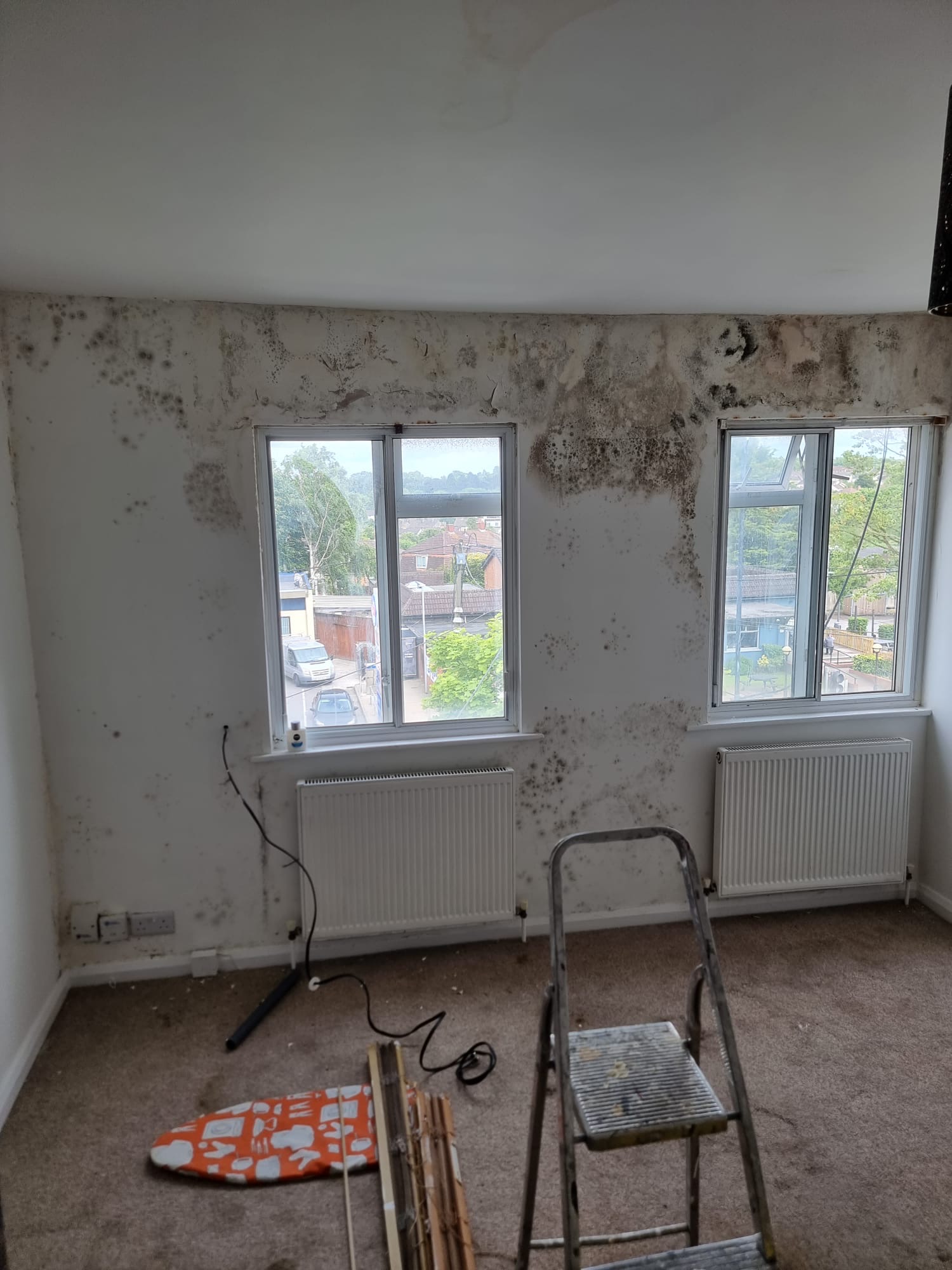 Mould removal, remediation Service | Mould Treatment for Walls | Bristol Decorators